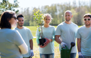 team building activité écologique rse plantes